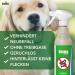 Envira Flea Spray - 5L Odorless & Water-Based Anti Flea Remedy for Home - Eco-Friendly Flea Solution - Buy Online on GoSupps.com