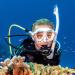 TUSA SP-0101 Hyperdry Elite II Diving Snorkel - Black/Fishtail Blue - Buy Online on GoSupps.com