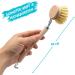 Chinchilla Rinse Brush - Eco-Friendly Beech Wood Kitchen Brush with Natural Fiber Bristles | Includes 3 Replaceable Heads | Plastic-Free & Durable - Buy Online on GoSupps.com