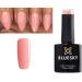 Bluesky Gel Polish Soft Pink Nail CAMEO CS60 UV LED Soak Off 10ml
