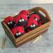 Friendsheep Wool Dryer Balls 6-Pack XL Organic Premium Reusable Fair Trade No Lint Fabric Softener - Ladybug Design - Buy Online on GoSupps.com