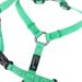 Adjustable Green Cat Dish - Excellent Elite Spanker for Small to Large Kittens | No Pull Pet Dishes - International Shipping Available - Buy Online on GoSupps.com