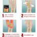 DIFICATO Varicose Vein Treatment Plaster | 12/24 Vein Health Patches for Legs | Effective Relief from Varicose Veins - Buy Online on GoSupps.com