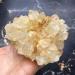 Natural Crystal Rough Natural Rough Stone Pineapple Crystal Cluster for Home Decoration (Size : 50-100g) - Buy Online on GoSupps.com