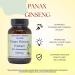 Barlowe's Herbal Elixirs Panax Ginseng | Extract | 80% Ginsenosides | 500mg Per Capsule | Stamina, Focus & Vitality Support | 60 VegiCaps | Stearate Free | Bottled in Glass - Buy Online on GoSupps.com