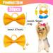 Suxgumoe Dog Hair Bows 36Pcs Mixed Colors - Cute Grooming Bows for Long Hair Dogs & Cats - Buy Online on GoSupps.com