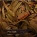 Pu-erh tea 2016 Xiaguan Ba Wai Cake Tea 357g Raw - Buy Online on GoSupps.com