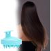 Buy Premium Hair Shampoo Brush with Soft Silicone Scalp Massager for Hair Growth - Black & Blue Colors - Buy Online on GoSupps.com