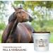 AniForte Bt Pur Beer Yeast for Horses 5kg - Natural Skin & Fur Supplement Supports Gut Health & Nutrient Supply - Buy Online on GoSupps.com