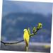 TOYANDONA Parrot Lifelike Vivid Ornament Figure Artificial Birds for Jungle Statue Garden Simulation Yellow 20x5cm Yellow - Buy Online on GoSupps.com