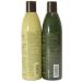 Hair Chemist Macadamia Oil Revitalizing Combo - Nourishing Shampoo & Conditioner 10 oz | Best International Shipping - Buy Online on GoSupps.com