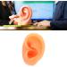 Human Ear Model | Reusable Soft Silicone Authentic Ear for Earring Display (Left) - International Shipping Available - Buy Online on GoSupps.com