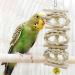 CAMITER 8 Packs Bird Toys Parrots Cage Toys Natural Wood Hanging Swing Shredding Chewing Perches Parrot Toy Parrot Bite Toy for Budgie Parakeet Cockatiel Macaw - Buy Online on GoSupps.com