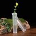 100 Pack Floral Water Tubes | Plastic Vials for Small Roses | Stem Water Tube Holder | Florist Supplies for Flower Arrangements | 10ml - Buy Online on GoSupps.com