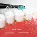 10 Pack Electric Toothbrush Replacement Heads for Sonic-FX and Fit SnapWhite - Compatible with Fairywill - Soft Charcoal/Nylon Bristles - Adults and Kids (5 Black+5 White) - Buy Online on GoSupps.com