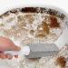 Yawdil Pumice Stone For Toilet Bowl Cleaning Scouring Stick With Handle Powerfully Away Limescale Stain Cleaning Tool - Buy Online on GoSupps.com