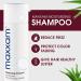 Maxxam Moisturizing Shampoo for Color Treated Hair - Sulfate Free with Aloe - 10 Fl Oz - Buy Online on GoSupps.com
