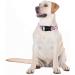 Unique Style Blue Leaves Dog Collar | Halison Care Barrows & Linen | Perfect for Small Medium & Large Dogs | Durable Dog Training & Gift Collection - Buy Online on GoSupps.com