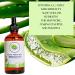 Pure Organic Aloe Vera Oil 3.38oz | Natural Skincare & Healing | Ship Worldwide - Buy Online on GoSupps.com