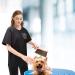 3XL No Lifting Short Arm Pet Groomer Smock - Waterproof Antistatic Work Clothes for Dogs & Cats - 2 Pockets - Ideal for Pet Shops - Pack of 1 - Buy Online on GoSupps.com