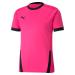 PUMA Men teamGOAL 23 Jersey 3XL Fluo Pink-puma Black