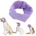 Dog snood dog earmaker for dog hearing protection dog hoodie for dog neck and ear warmer dog ear protector noise protection pet snood for dogs and cats bathing m violet