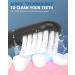 Electric Toothbrush with 6 Brush Heads | Rechargeable & Waterproof | Smart Timer | Fast Charge - 60 Days Battery Life - Buy Online on GoSupps.com