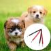 2 Pcs Double Dog Lead Coupler No Tangle Lead Splitter Walking Trainer Leash for Puppy Small Medium Large dog - Buy Online on GoSupps.com