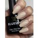 Bluesky Gel Nail Polish NAKED TRUTH NUDE BEIGE SPRING SUMMER 2023 SS2302 UV LED Soak Off 10ml (Requires Curing Under UV LED Lamp) SPEAK YOUR TRUTH IN SPRING  - Buy Online on GoSupps.com