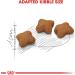 Royal Canin - Sterilized Kitten From 6 Months - 2 Kg Bag (1 Pack) - Buy Online on GoSupps.com