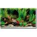 AMTRA WONDER - Aquarium poster background aquarium decoration decorative poster with double print format 30x60cm - Buy Online on GoSupps.com