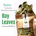Arselia Wild Dried Bay Leaves Whole 2 Oz | Mediterranean Laurel Nobilis | Premium Quality | Natural All Green - Buy Online on GoSupps.com