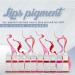 All-in-One Professional Lip Pigment - Vegan Permanent Make-Up for Lip Blushing | Sweet Pink - Enhance Your Lips Color - Buy Online on GoSupps.com