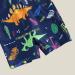 PythJooh Baby Boy Swimsuit | Zipper Rash Guard One Piece | Shark Print Shorts | 3-4 Years | Navy Dinosaur - Buy Online on GoSupps.com