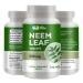 WAY 4 ORGANIC W4O Neem Tablets - 100% Pure (Azadirachta Indica) (240 Count - 500mg) 120 Days Supply (1 Pack)