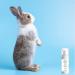 Ultra Gentle Sensitive Skin Conditioning Shampoo Wash for Pets Odour Remover Moisturising Skin Repair. Cat Shampoo Rabbit Shampoo Dog Shampoo Hamster Shampoo- 60ml - Buy Online on GoSupps.com