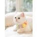 QWINEE Flower Decor Dog Collar - Cute Necklace for Small to Medium Dogs - Multicolor - S - Buy Online on GoSupps.com