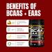 Icon Muscle BCAA + EAA 7000 | Black Cherry | Essential Amino Acid | Branch Chain Amino Acids | BCAA Powder | Muscle Recovery | Hydration | Electrolytes | Muscle Strength | Men & Women | 30 Servings - Buy Online on GoSupps.com