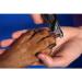 HAWATOUR Professional Dog Nail Clippers with Safety Guard for Medium and Large Pets - Red - Buy Online on GoSupps.com