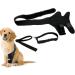 JISADER Pet Knee Support Brace for Enhanced Comfort and Mobility M 18.5 to 29.4cm - Buy Online on GoSupps.com