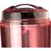 Buy Pink Nail Art Stickers & Stamp Tool Set for Women - Perfect for Party Decor & Home Use - Buy Online on GoSupps.com