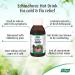 A.Vogel Echinaforce Hot Drink with Elderberry - 100ml | Cold & Flu Relief - Buy Online on GoSupps.com