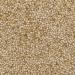 Wholefood Earth Quinoa Grain 1 kg | GMO Free | Natural | High Fibre | Source of Protein 1kg - Buy Online on GoSupps.com