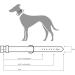 Shop Hunter Basic Dog Collar - Coated Gap Leather Weather-Resistant 65L Stone/Black | Durable & Stylish Pet Accessories - Buy Online on GoSupps.com