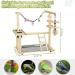 Olpchee Bird Playground Parrot Playstand with Feeder Cups, Toys, and Tray - Wooden Perch Gym for Cockatiel, Parakeet - Buy Online on GoSupps.com