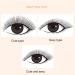 Women s Pro Makeup 60pcs Cluster Beauty Eyelashes - Grafting Fake False Lashes 6mm for Stunning Eyes - Buy Online on GoSupps.com