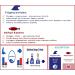 ROYAL. Seal Oil OMEGA-3+6+9 (300 Softgels) 300 count (Pack of 1) - Buy Online on GoSupps.com
