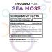 TriGuard Plus Sea Moss - Irish Sea Moss Olive Leaf & Ginger Root Extract Tincture 2 fl oz - Thyroid, Digestion, Immune Support & Energy Boost - Alcohol-Free & Non-GMO - Buy Online on GoSupps.com