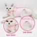 Cat Recovery Suit for Abdominal Wounds and Skin Diseases - Vet Recommended E-Collar Alternative - Medium Pink - Buy Online on GoSupps.com