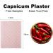 24 Pcs Capsicum Plaster for Pain Relief (7.09 x 4.72 in) - Large Porous Capsaicin Heat Patch - Buy Online on GoSupps.com